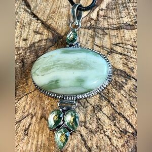 Large Petrified Big Wood Larsonite Pendant 3”